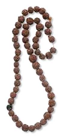 Hindu mala of 54 rudraksha beads and one bodhi seed